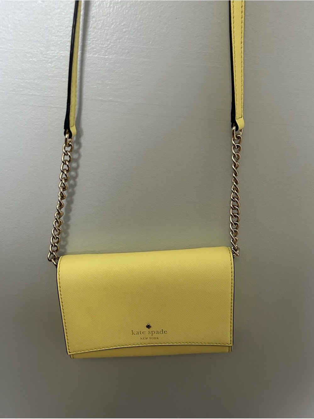 Kate Spade Cedar Street Cami Crossbody / Clutch Bag (Style # PWRU4450)
